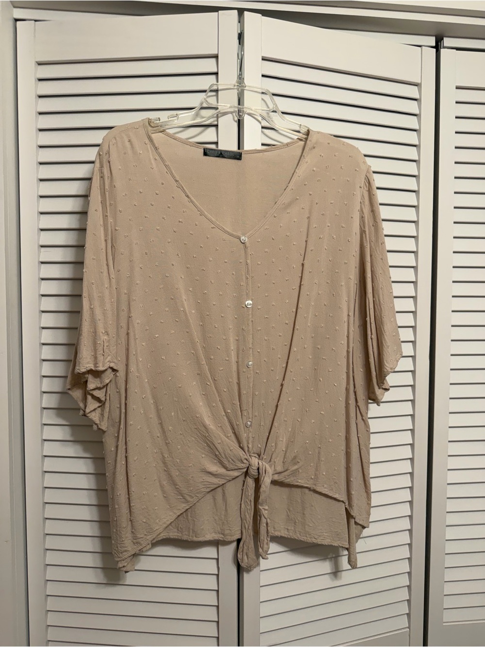 Chris & Carol Beige Button-Front Tie Hem Dot Texture Top